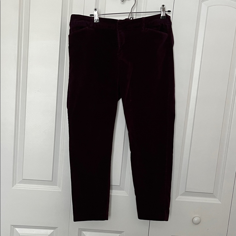 Old Navy Pixie Velvet Pants in Purple
